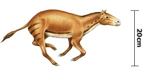 Obrázok